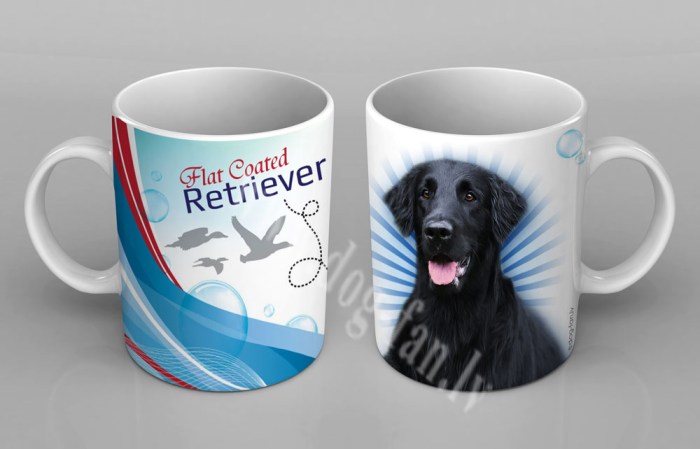 flatcoretrcup copy